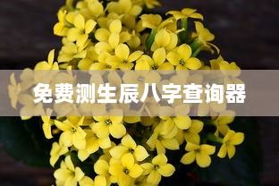 免费测生辰八字查询器