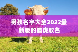 男孩名字大全2022最新版的属虎取名