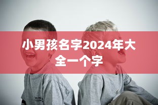 小男孩名字2024年大全一个字  第1张
