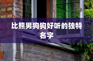 比熊男狗狗好听的独特名字