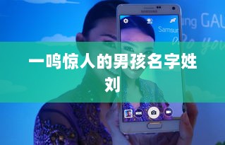 一鸣惊人的男孩名字姓刘  第1张 一鸣惊人的男孩名字姓刘  第1张