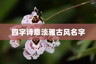 四字诗意淡雅古风名字