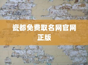 瓷都免费取名网官网正版