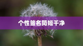 个性签名简短干净