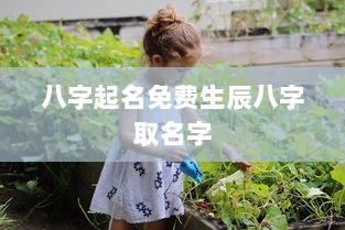 八字起名免费生辰八字取名字  第1张 八字起名免费生辰八字取名字  第1张
