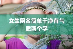 女生网名简单干净有气质两个字