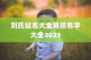 刘氏起名大全男孩名字大全2023  第1张