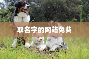 取名字的网站免费
