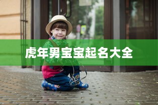 虎年男宝宝起名大全