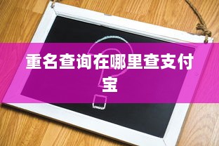 重名查询在哪里查支付宝