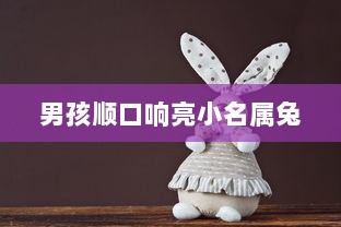 男孩顺口响亮小名属兔