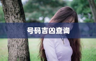 号码吉凶查询  第1张