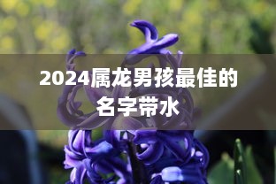 2024属龙男孩最佳的名字带水  第1张