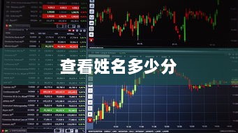 查看姓名多少分