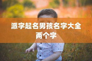 派字起名男孩名字大全两个字  第1张 派字起名男孩名字大全两个字  第1张