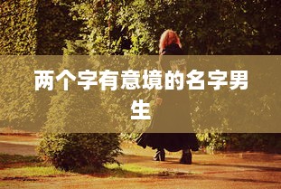 两个字有意境的名字男生