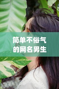 简单不俗气的网名男生  第1张
