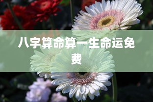 八字算命算一生命运免费  第1张 八字算命算一生命运免费  第1张