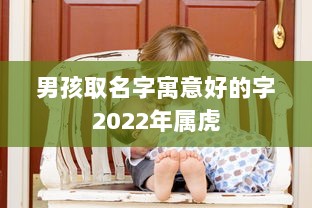 男孩取名字寓意好的字2022年属虎  第1张 男孩取名字寓意好的字2022年属虎  第1张