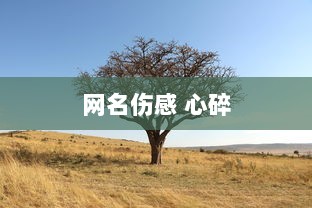 网名伤感 心碎