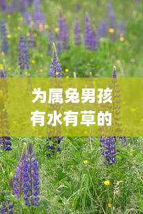 为属兔男孩有水有草的名字有哪些  第1张 为属兔男孩有水有草的名字有哪些  第1张