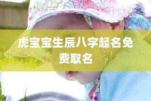 虎宝宝生辰八字起名免费取名  第1张