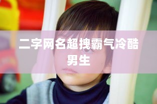 二字网名超拽霸气冷酷男生
