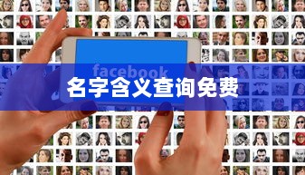 名字含义查询免费