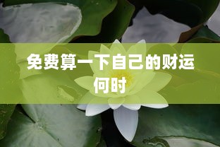 免费算一下自己的财运何时  第1张