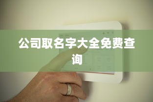 公司取名字大全免费查询