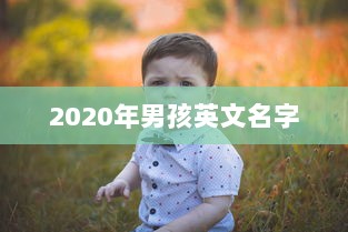 2020年男孩英文名字