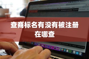 查商标名有没有被注册在哪查  第1张