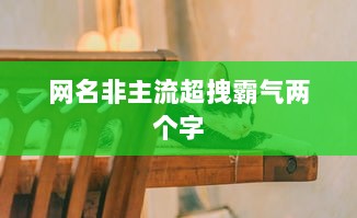 网名非主流超拽霸气两个字 第1张 网名非主流超拽霸气两个字 第1张