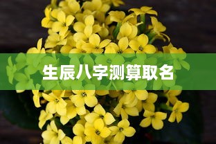 生辰八字测算取名  第1张 生辰八字测算取名  第1张