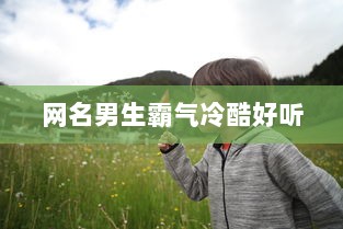 网名男生霸气冷酷好听  第1张 网名男生霸气冷酷好听  第1张