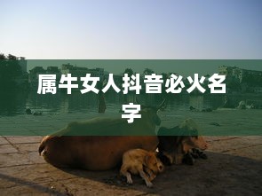 属牛女人抖音必火名字  第1张