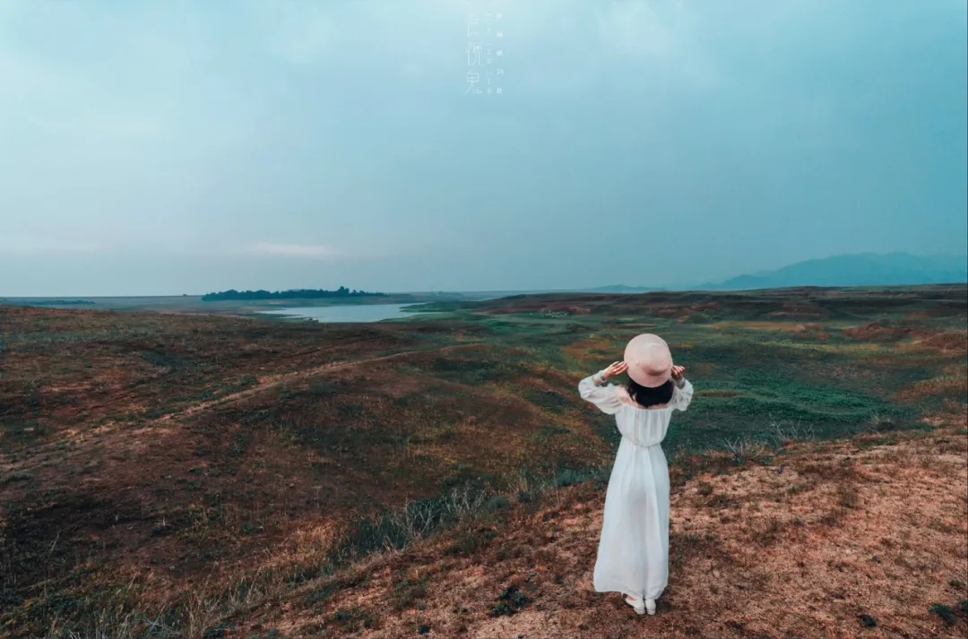 2025下半年：稳住，就是一切  第4张