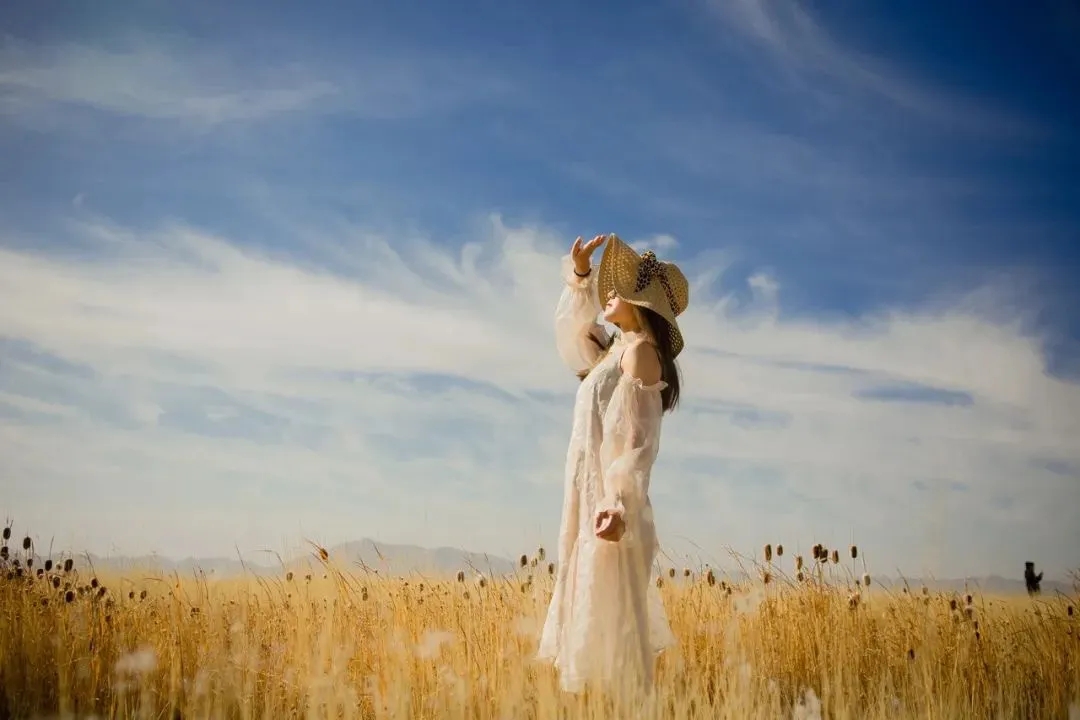 2025下半年：稳住，就是一切  第1张