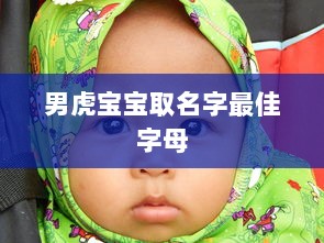 男虎宝宝取名字最佳字母