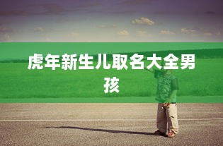 虎年新生儿取名大全男孩 第1张 虎年新生儿取名大全男孩 第1张