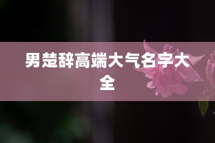 男楚辞高端大气名字大全