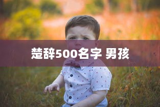 楚辞500名字 男孩