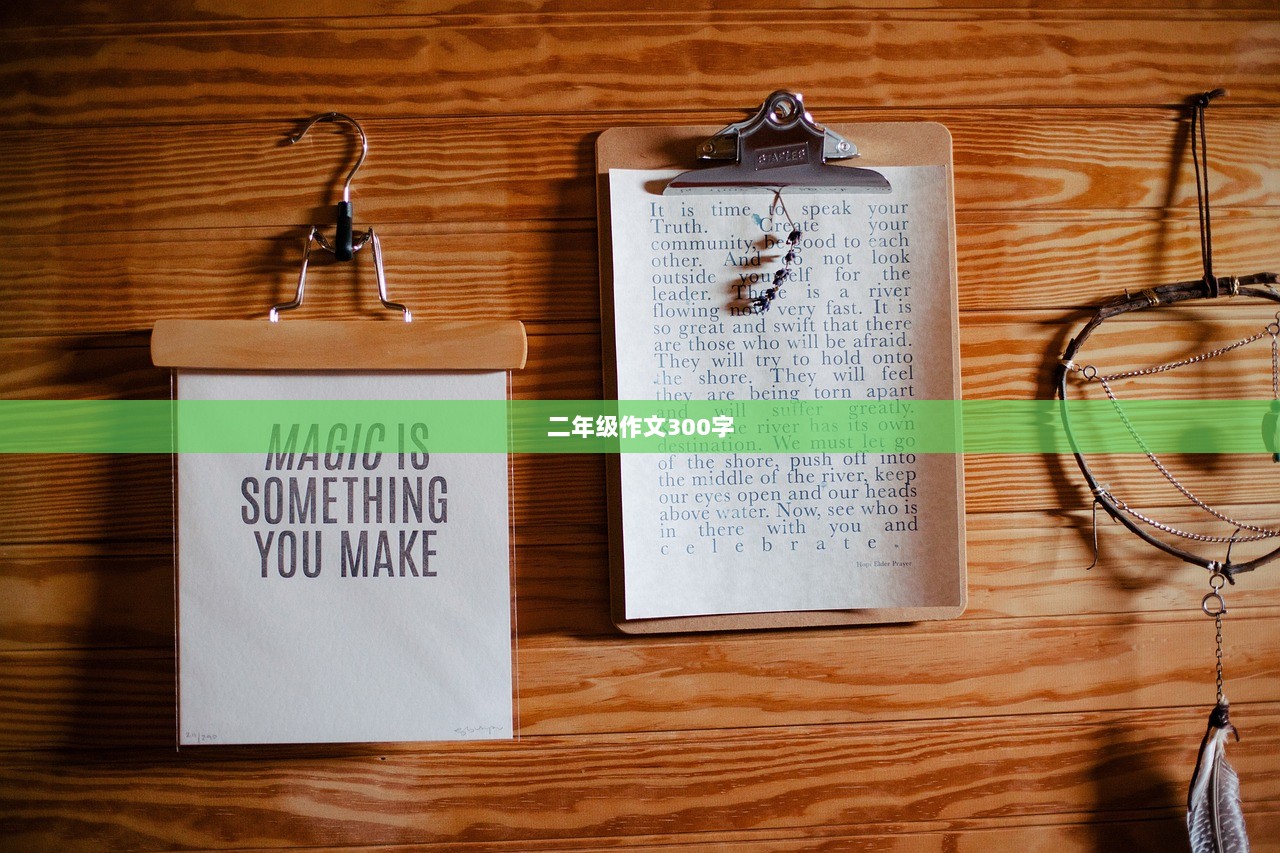 二年级作文300字