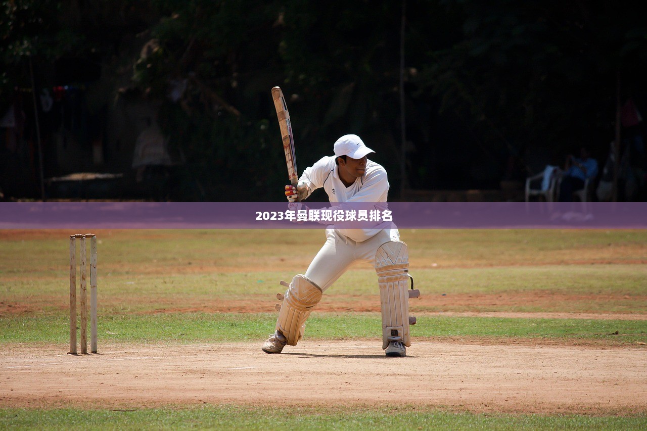 2023年曼联现役球员排名  第1张 2023年曼联现役球员排名  第1张