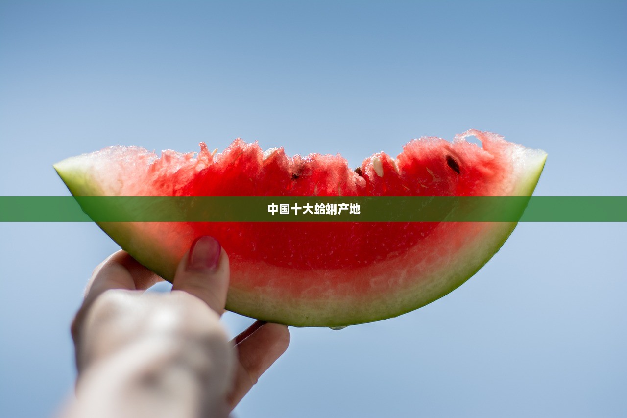 中国十大蛤蜊产地