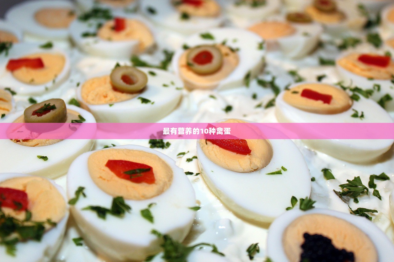 最有营养的10种禽蛋  第1张 最有营养的10种禽蛋  第1张