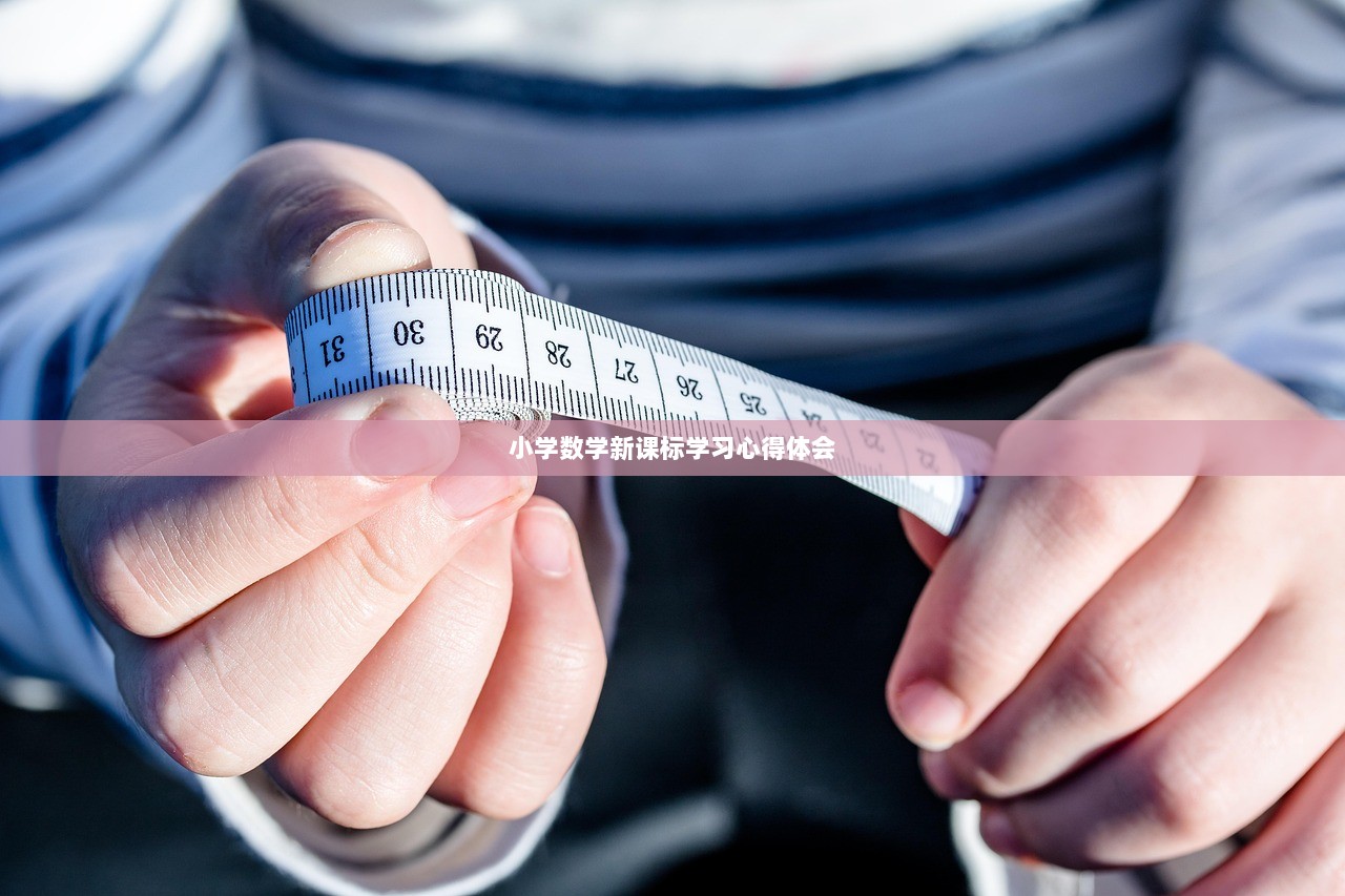 小学数学新课标学习心得体会
