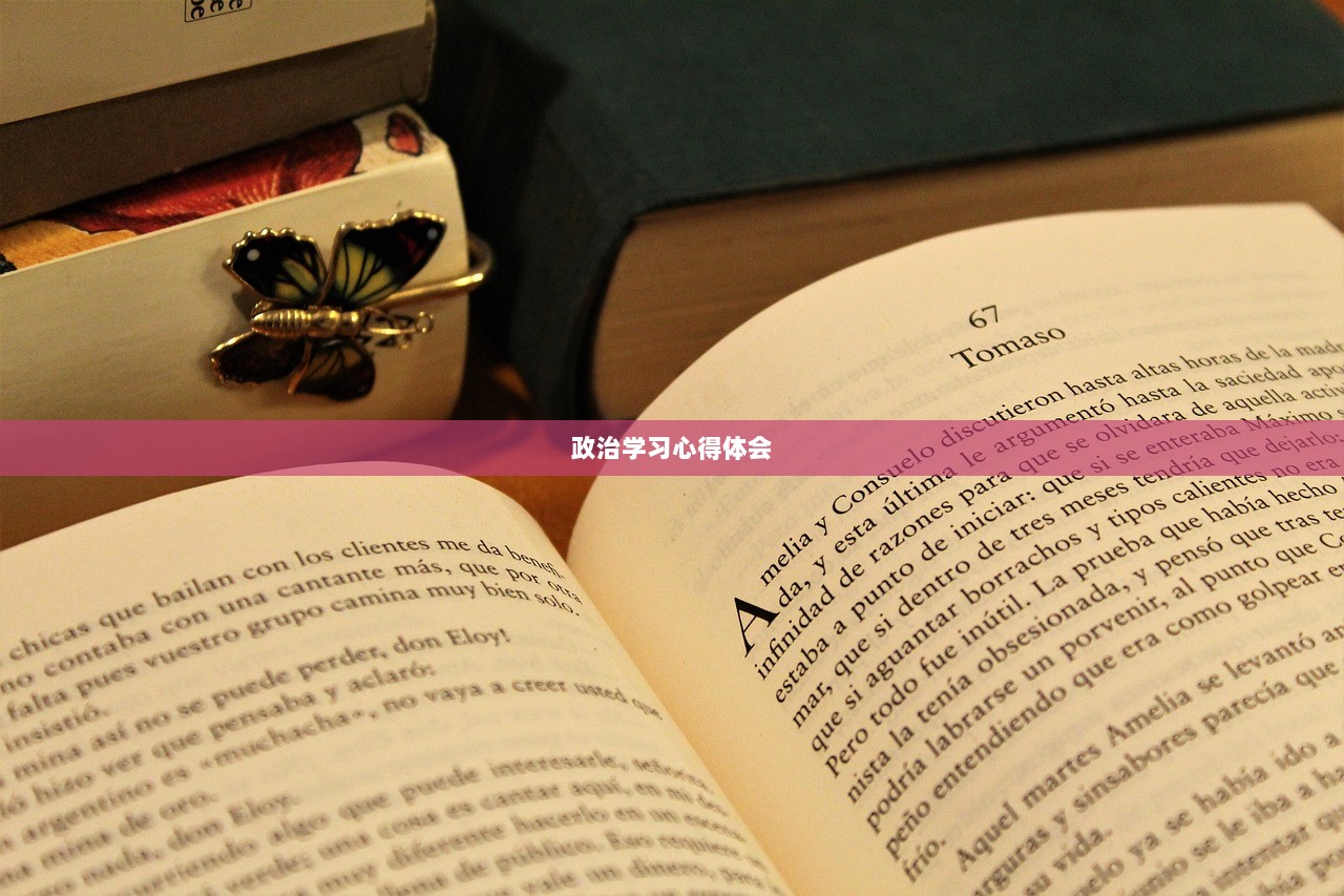 政治学习心得体会