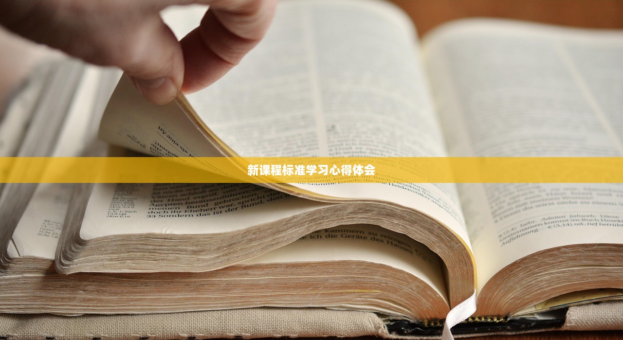 新课程标准学习心得体会