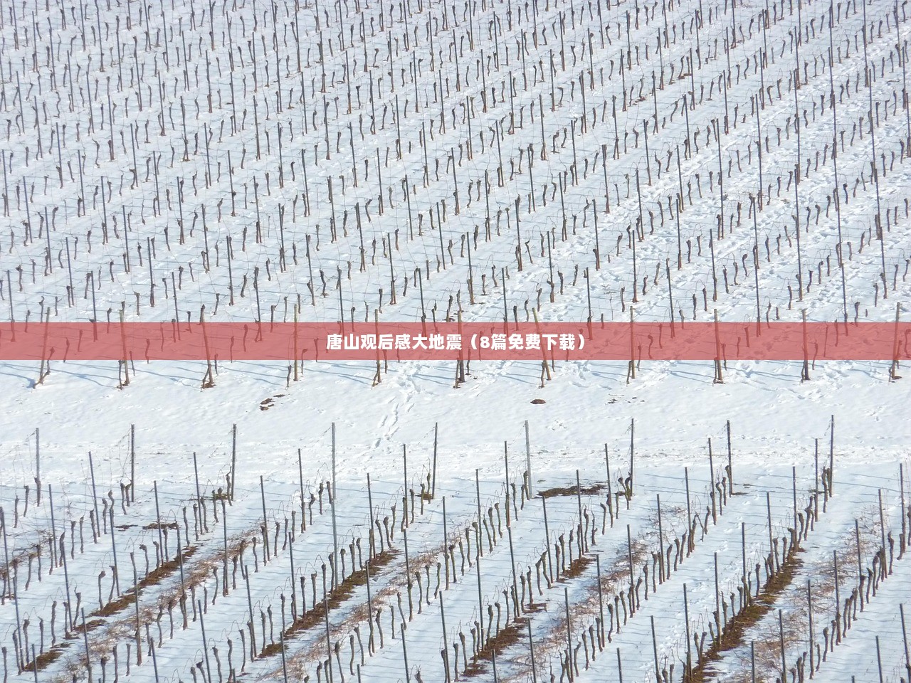 唐山观后感大地震（8篇免费下载）